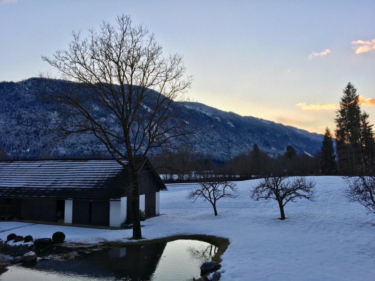 Assingerhof Apartment Sankt Stefan an der Gail Екстериор снимка